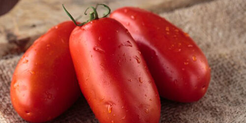 pomodoro san marzano